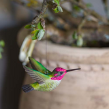 Wildlife Garden Decobird Carved Wooden Figure of Humming Birds in Flight