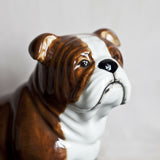 Quail Ceramics: Money Box: English Bulldog