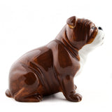 Quail Ceramics: Money Box: English Bulldog