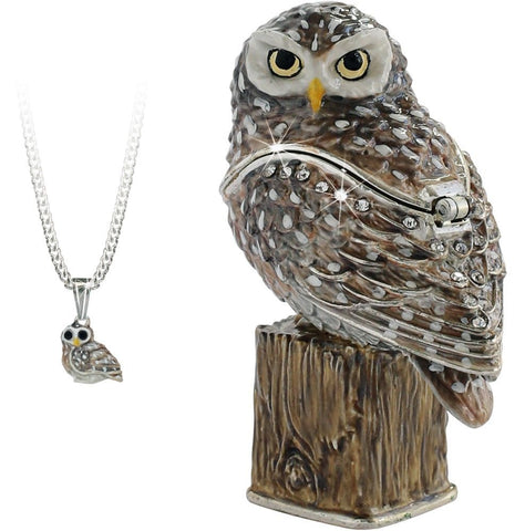 Hidden Secrets Little Owl Trinket Box