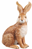 Natural Rabbit By Goebel Merta