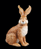 Natural Rabbit By Goebel Merta