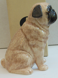 Quail Ceramics Fawn Pug Money Box