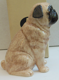 Quail Ceramics: Money Box: Pug - Fawn