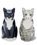 Quail Ceramics Cat Salt And Pepper Pots Sadie And Smartie