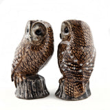 Quail Ceramics Tawny Owls Salt And Pepper Pots