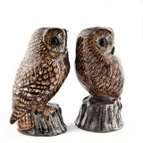 Quail Ceramics Tawny Owls Salt And Pepper Pots