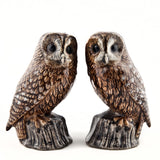 Quail Ceramics Tawny Owls Salt And Pepper Pots