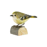 Wildlife Garden Decobird Carved Wooden Goldcrest
