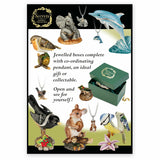 Craycombe Trinkets Snow Owl Trinket Box
